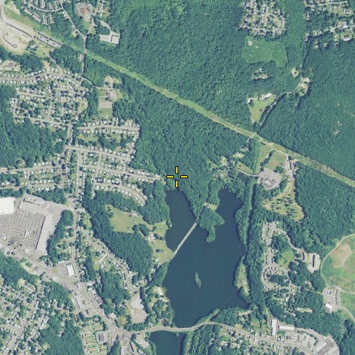 Aerial/Satellite Image of Chase Brook, CT