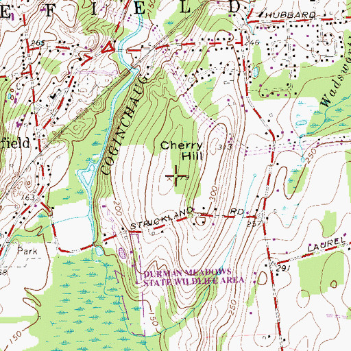 Topographic Map of Cherry Hill, CT