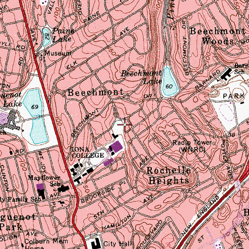 Topographic Map of Rice Oval, NY