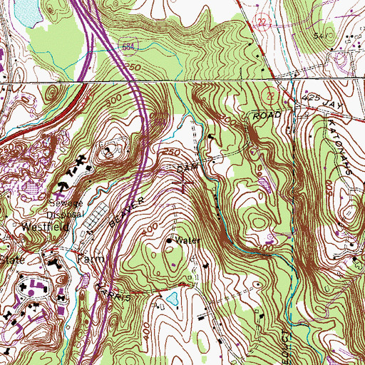 Topographic Map of Beaver Dam Park, NY