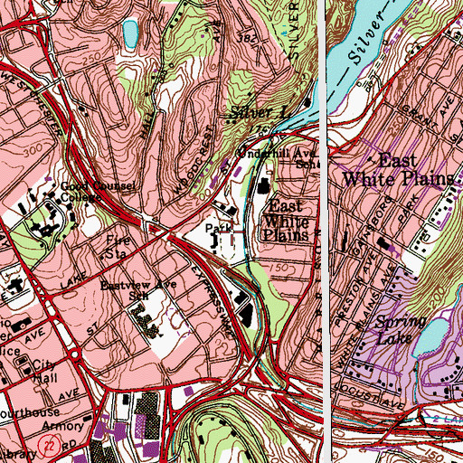 Topographic Map of Carl Delfino Park, NY
