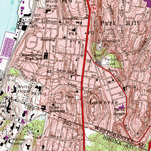 Topographic Map of South Presbyterian Church, NY