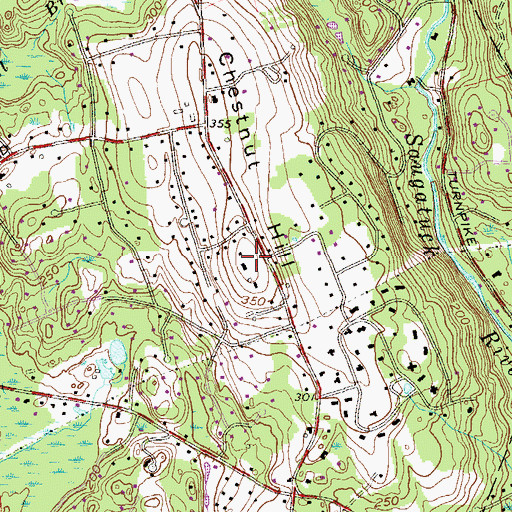 Topographic Map of Chestnut Hill, CT