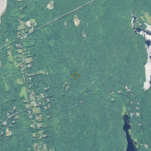 Aerial/Satellite Image of Chestnut Hill, CT