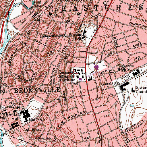 Topographic Map of Rippe Hall, NY