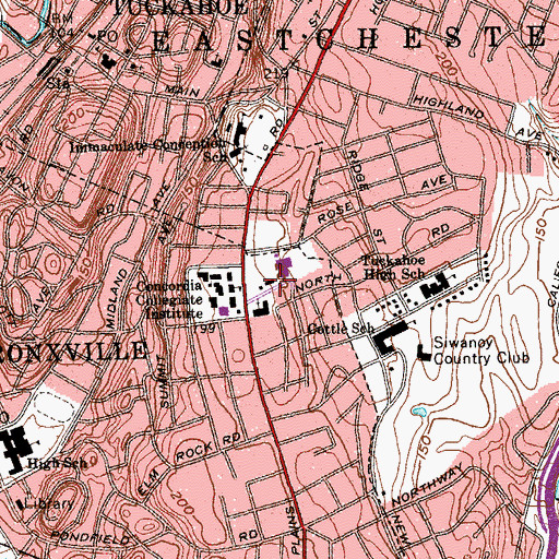 Topographic Map of Stein Hall, NY