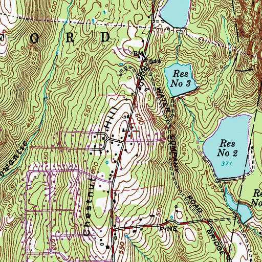 Topographic Map of Chestnut Hill, CT