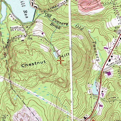 Topographic Map of Chestnut Hill, CT