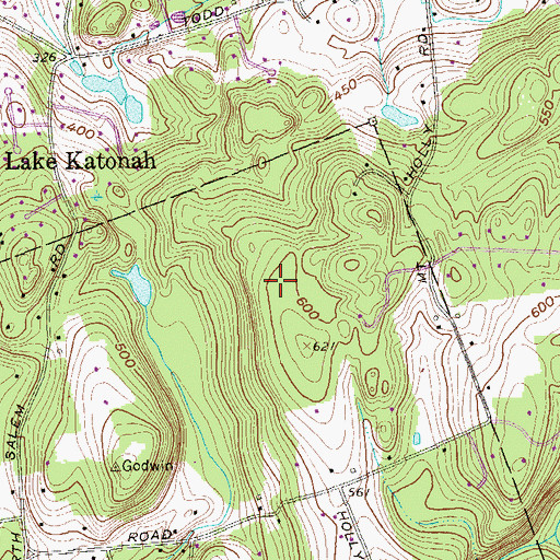 Topographic Map of Mount Holly Sanctuary, NY