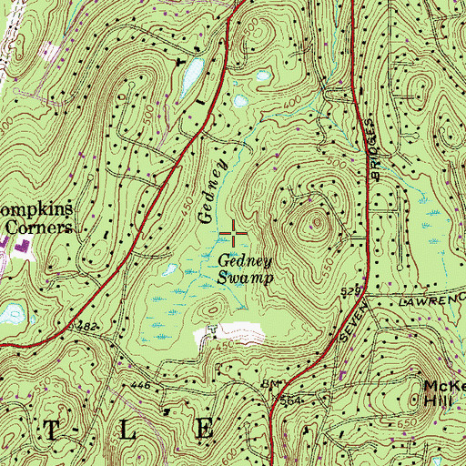 Topographic Map of Pruyn Audubon Sanctuary, NY