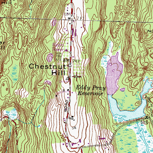 Topographic Map of Chestnut Hill, CT