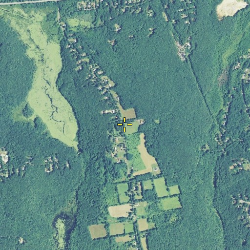 Aerial/Satellite Image of Chestnut Hill, CT