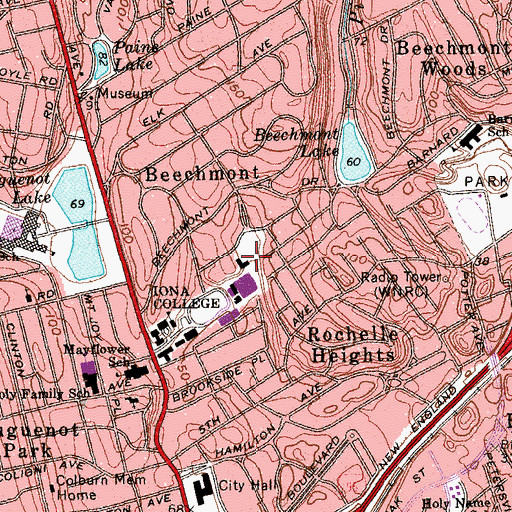 Topographic Map of Rice Hall, NY