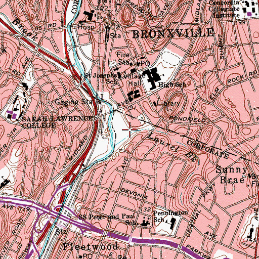 Topographic Map of Parkway Field, NY
