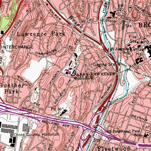 Topographic Map of Robinson House, NY