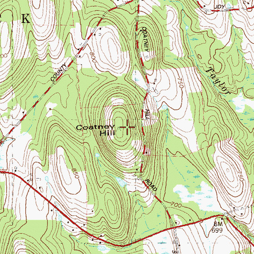 Topographic Map of Coatney Hill, CT