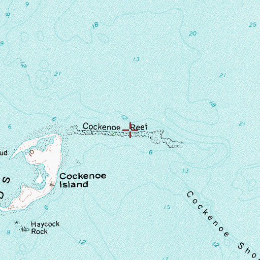 Topographic Map of Cockenoe Reef, CT