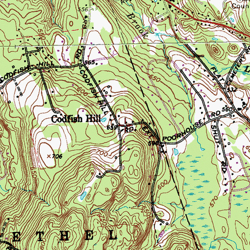 Topographic Map of Codfish Hill, CT