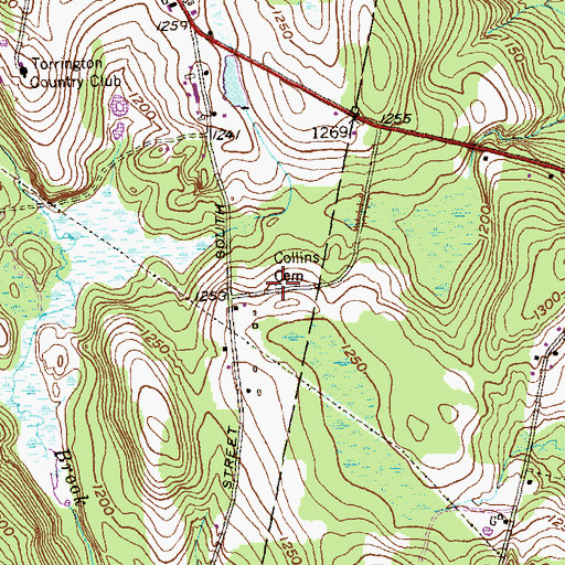 Topographic Map of Collins Cemetery, CT