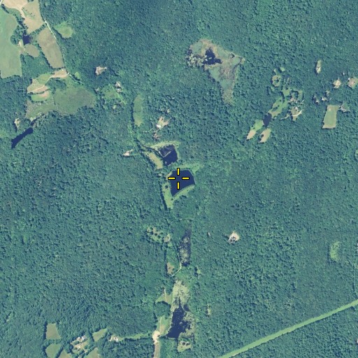 Aerial/Satellite Image of Colts Pond, CT