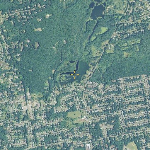 Aerial/Satellite Image of Lake Como, CT
