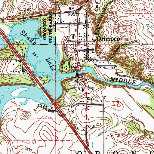 Topographic Map of Oronoco Bridge, MN