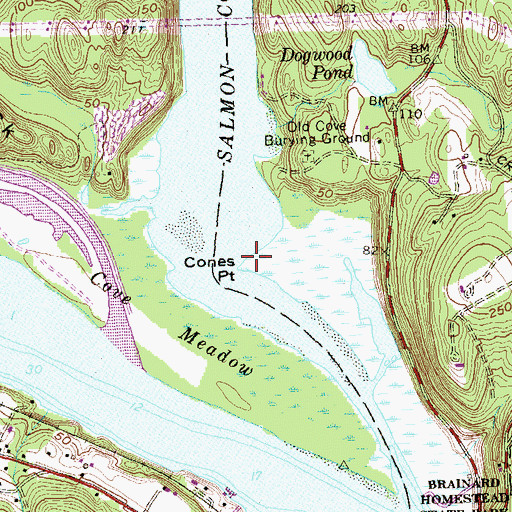 Topographic Map of Cones Point, CT