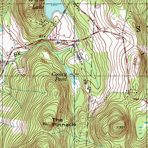 Topographic Map of Cooley Pond, CT