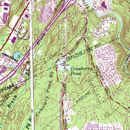 Topographic Map of Cranberry Pond, CT
