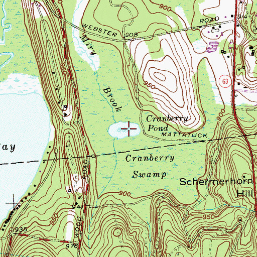 Topographic Map of Cranberry Pond, CT