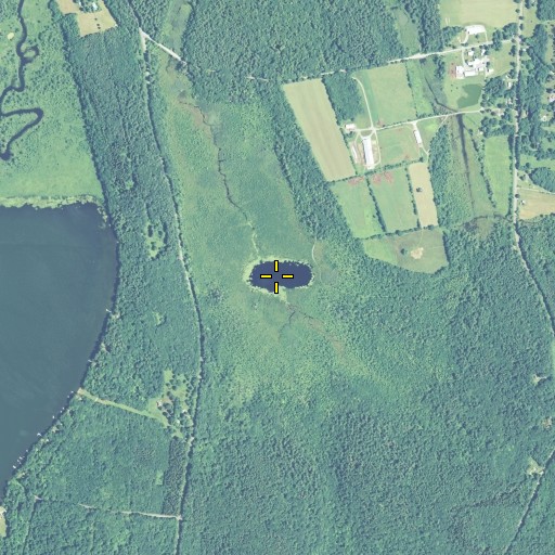 Aerial/Satellite Image of Cranberry Pond, CT