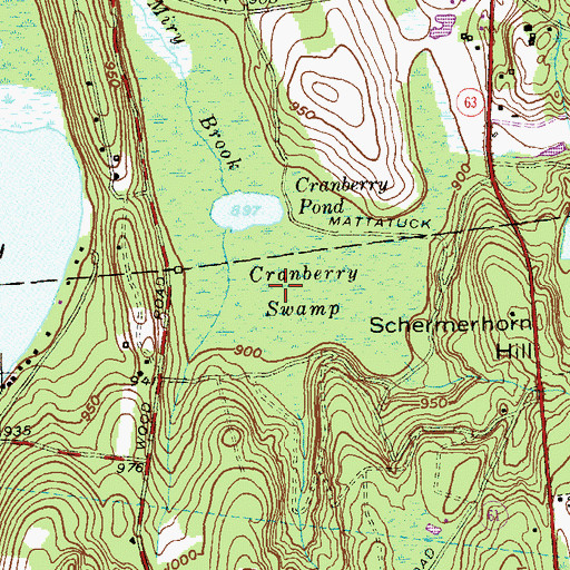 Topographic Map of Cranberry Swamp, CT
