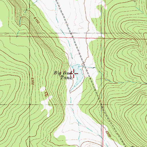 Topographic Map of Big Bud Tank, AZ