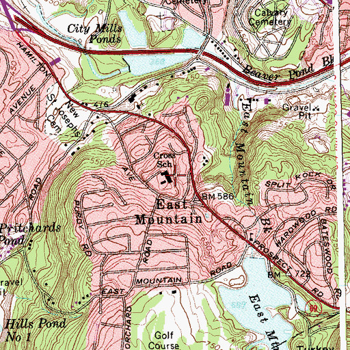 Topographic Map of Wendell L Cross School, CT