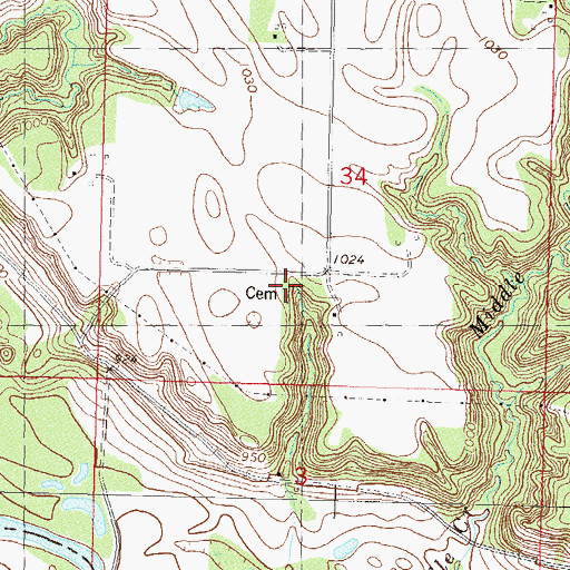 Topographic Map of First Flora Lutheran Cemetery, MN