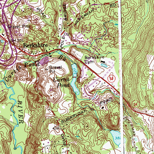 Topographic Map of Curtis Pond, CT