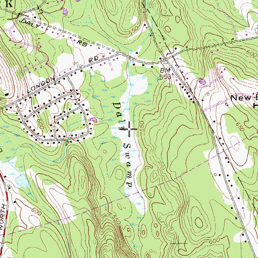 Topographic Map of Daly Swamp, CT