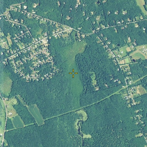 Aerial/Satellite Image of Daly Swamp, CT
