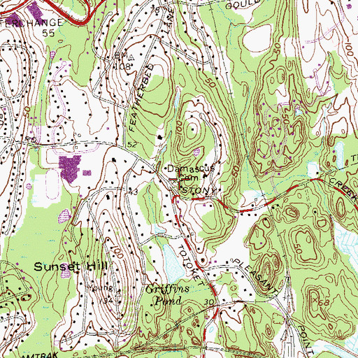 Topographic Map of Damascus Cemetery, CT