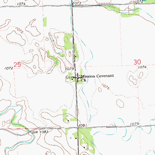 Topographic Map of Swedish Methodist Church Cemetery, MN