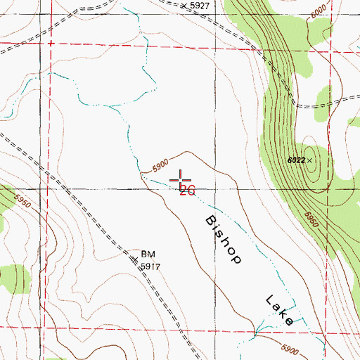 Topographic Map of Bishop Lake, AZ