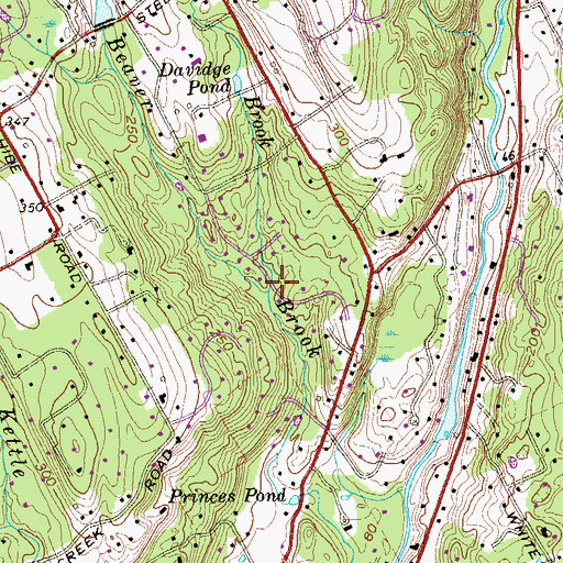 Topographic Map of Davidge Brook, CT