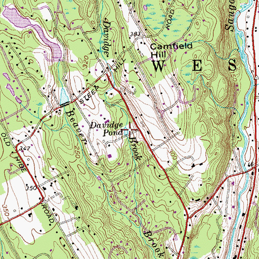 Topographic Map of Davidge Pond, CT