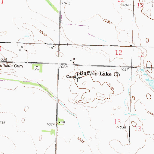 Topographic Map of Buffalo Lake Cemetery, MN