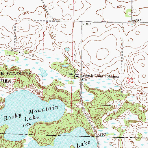 Topographic Map of South Lake Johanna Cemetery, MN
