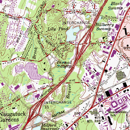 Topographic Map of Dismal Swamp, CT