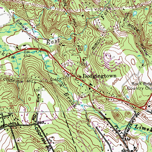 Topographic Map of Dodgingtown, CT