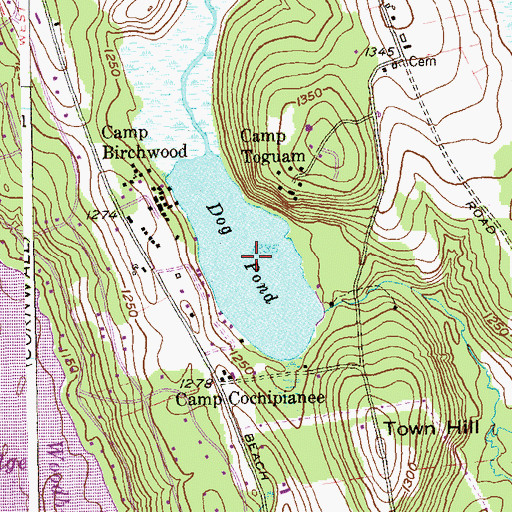 Topographic Map of Dog Pond, CT