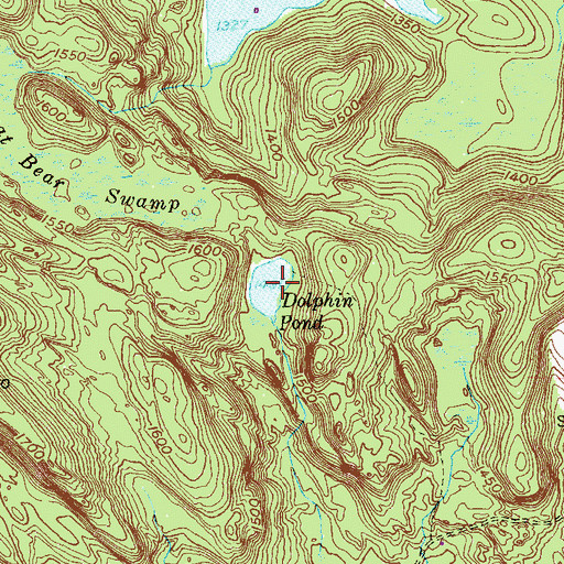 Topographic Map of Dolphin Pond, CT