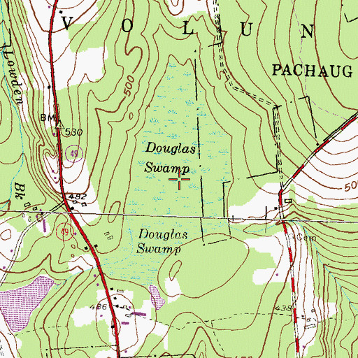 Topographic Map of Douglas Swamp, CT